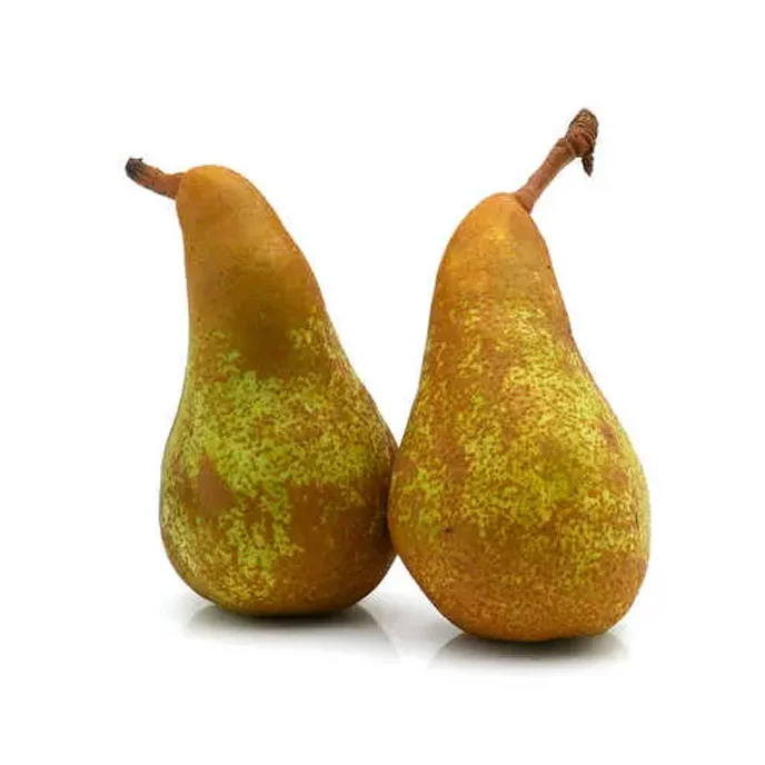 Armud Konfrans yerli